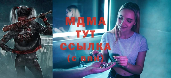 стафф Ельня