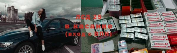 стафф Ельня