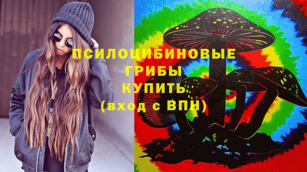 стафф Ельня