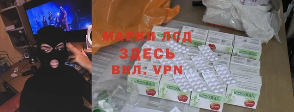 сатива Елабуга
