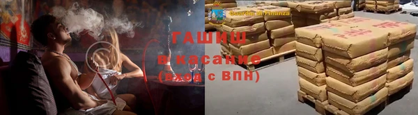 стафф Ельня