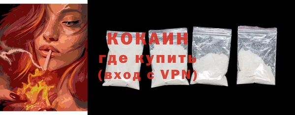 сатива Елабуга
