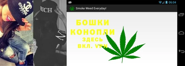 сатива Елабуга