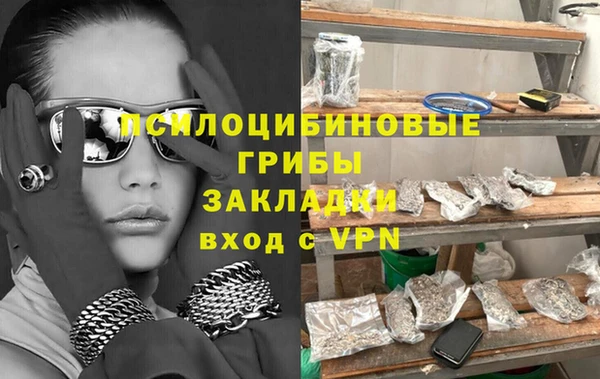 стафф Ельня