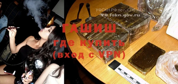 стафф Ельня