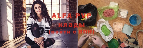 стафф Ельня