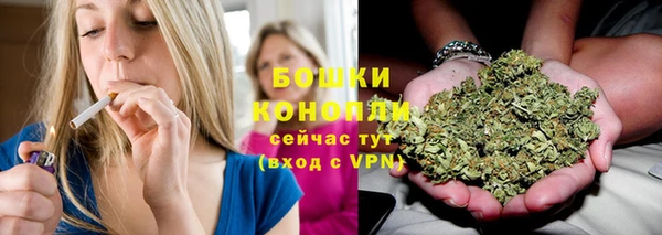 стафф Ельня